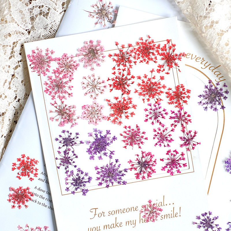 Resin Art Workshop - 24pcs,2-2.5cm,nature Dyed Mini Lace Pressed Flower
