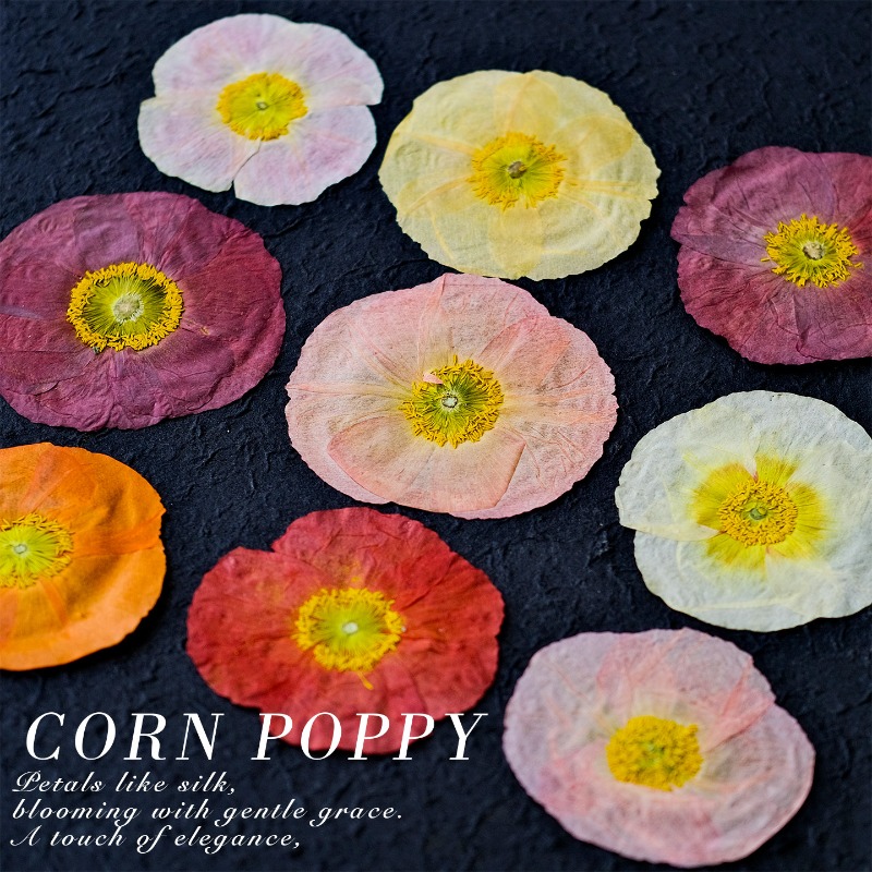 1pcs,Nature Field Poppy Presse - Resin Art Workshop ulasan dan harga
