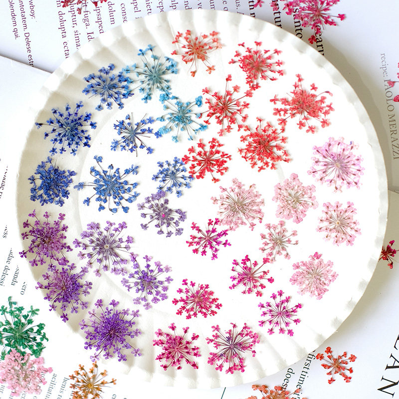 24pcs,2-2.5cm,nature Dyed Mini - Resin Art Workshop ulasan dan harga