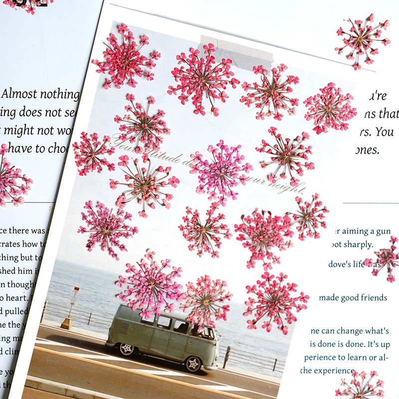 24pcs,2-2.5cm,nature Dyed Mini - Resin Art Workshop ulasan dan harga