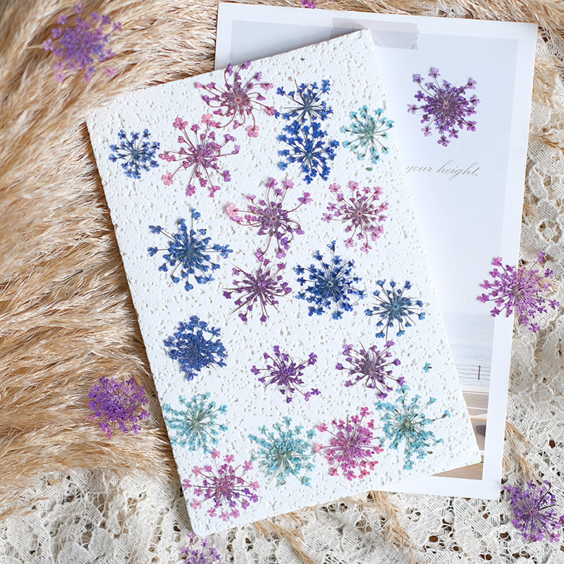 24pcs,2-2.5cm,nature Dyed Mini - Resin Art Workshop ulasan dan harga